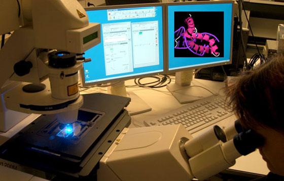 BRIO poursuit la mise en place d’une structure dédiée à la bioinformatique oncologique autour des excellentes plateformes et unités de recherche bioinformatique de Bordeaux