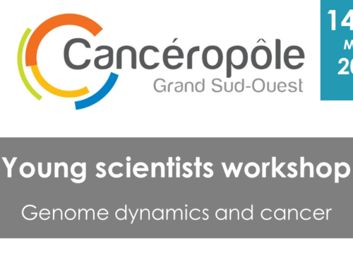 Young scientists workshop