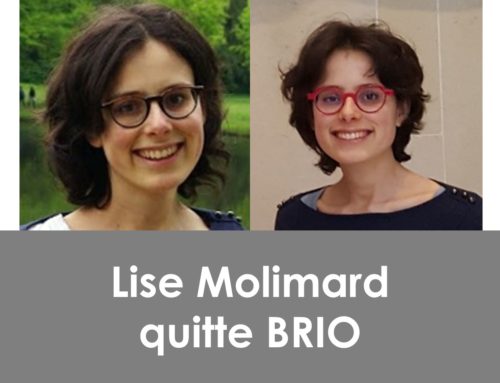 Lise Molimard quitte BRIO